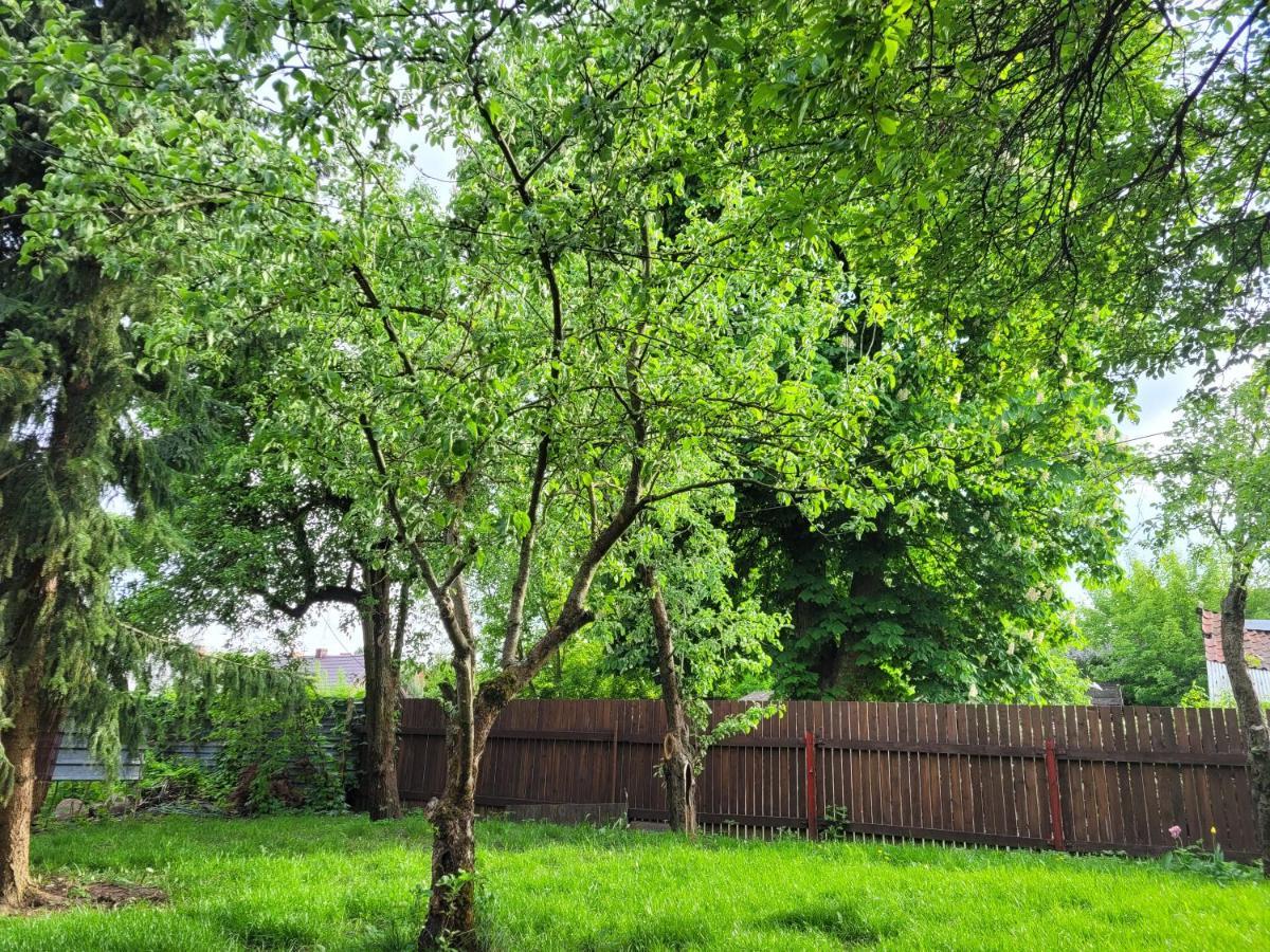 Villa Dom U Elizy Białystok Esterno foto